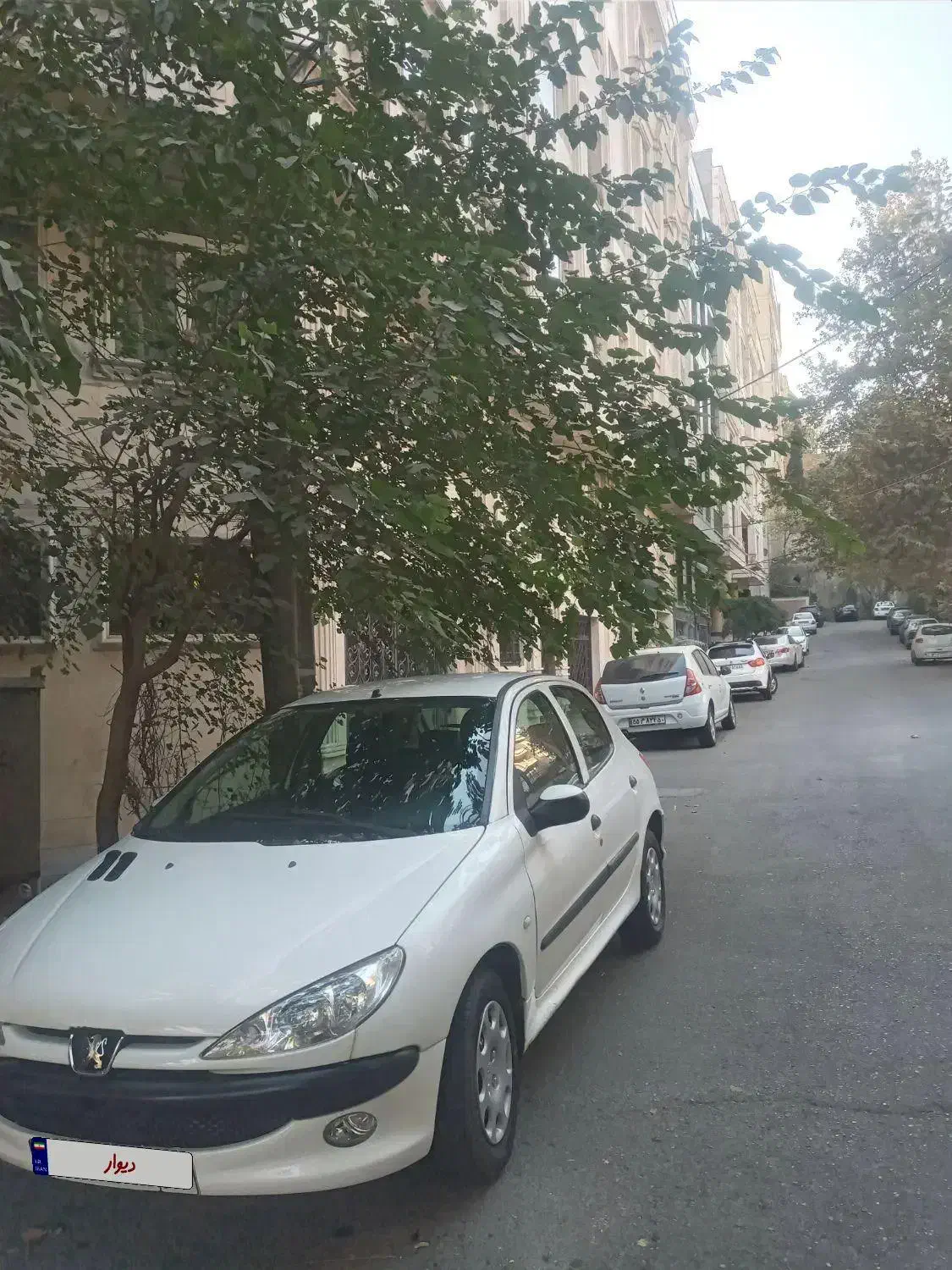 ۲۰۶مدل ۹۶ تیپ ۵|خودرو سواری و وانت|تهران, ازگل|دیوار