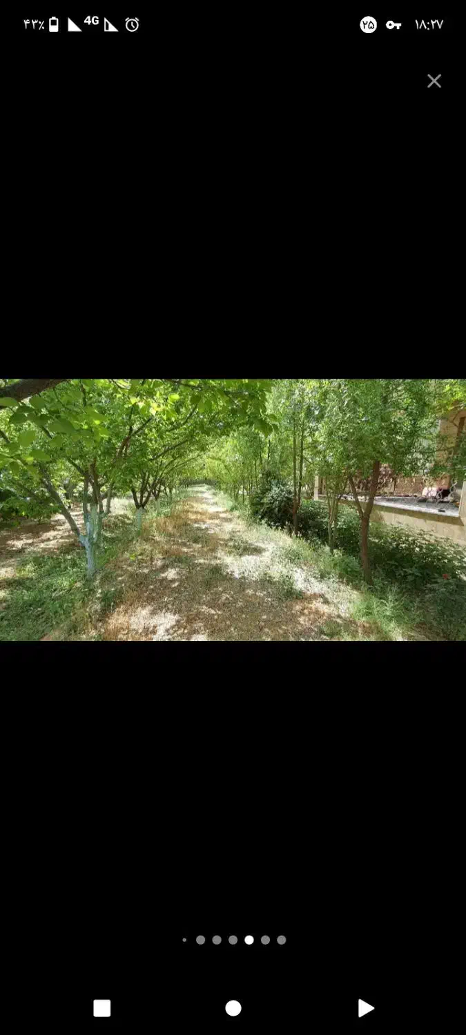 جویای کار|خدمات پیشه و مهارت|نیمبلوک, |دیوار