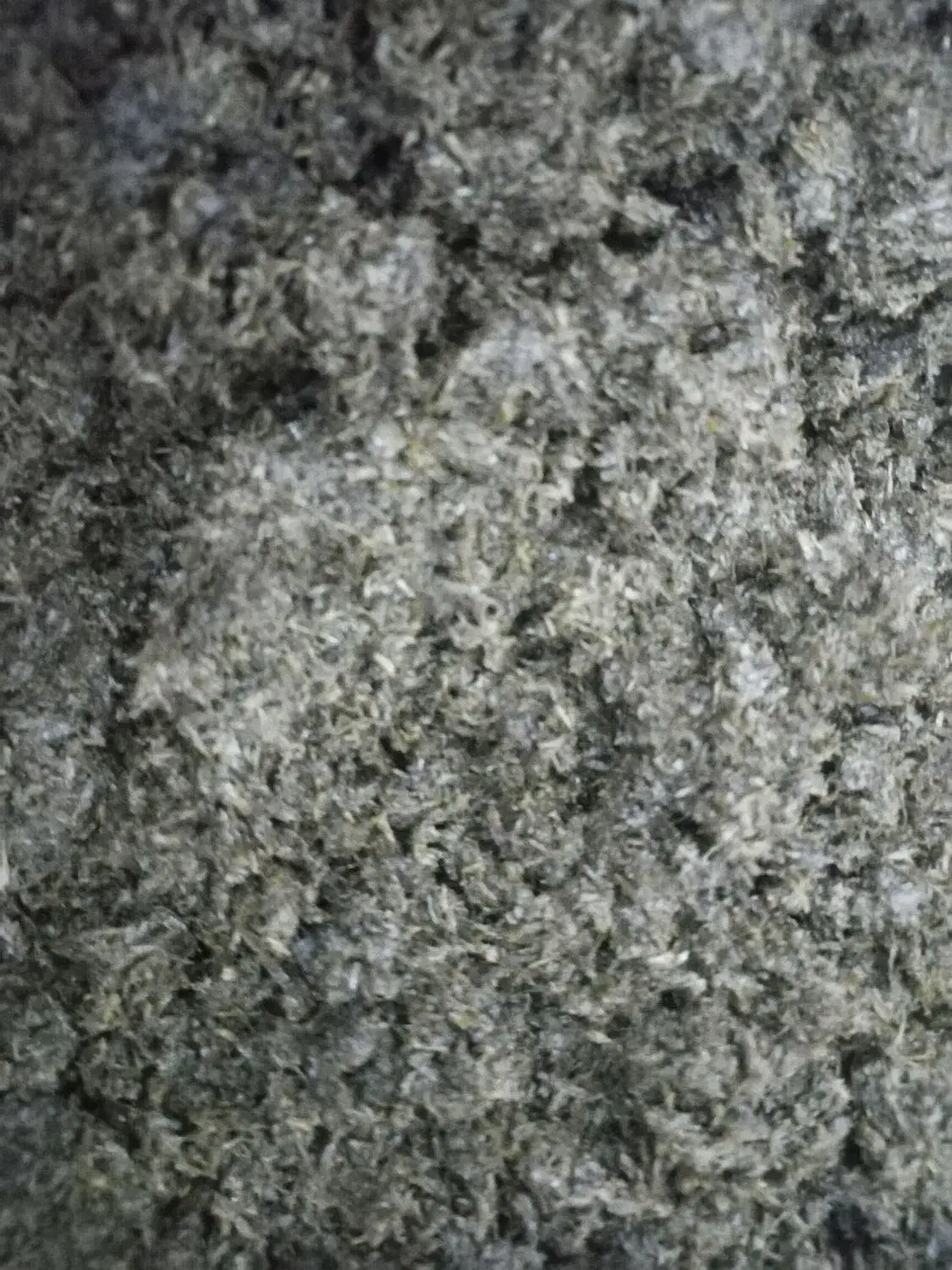 انواع سبزی از تازه ترین سبزی ها|خوردنی و آشامیدنی|قم, در بهشت|دیوار