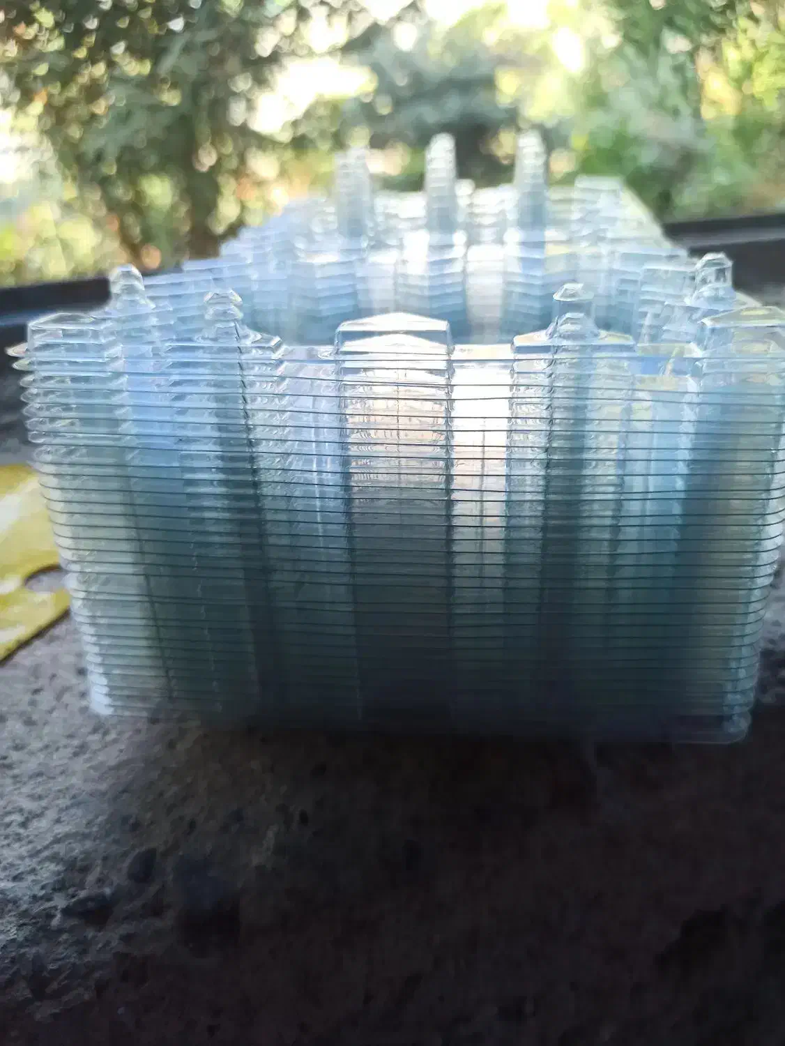 شانه تخم بلدرچین 12تایی|لوازم جانبی حیوانات|تنکابن, |دیوار