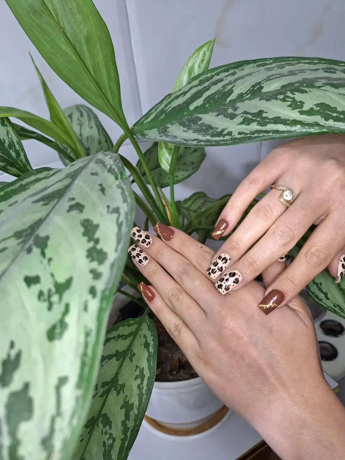 کاشت ناخن برای یلدا|خدمات آرایشگری و زیبایی|باقرشهر, |دیوار