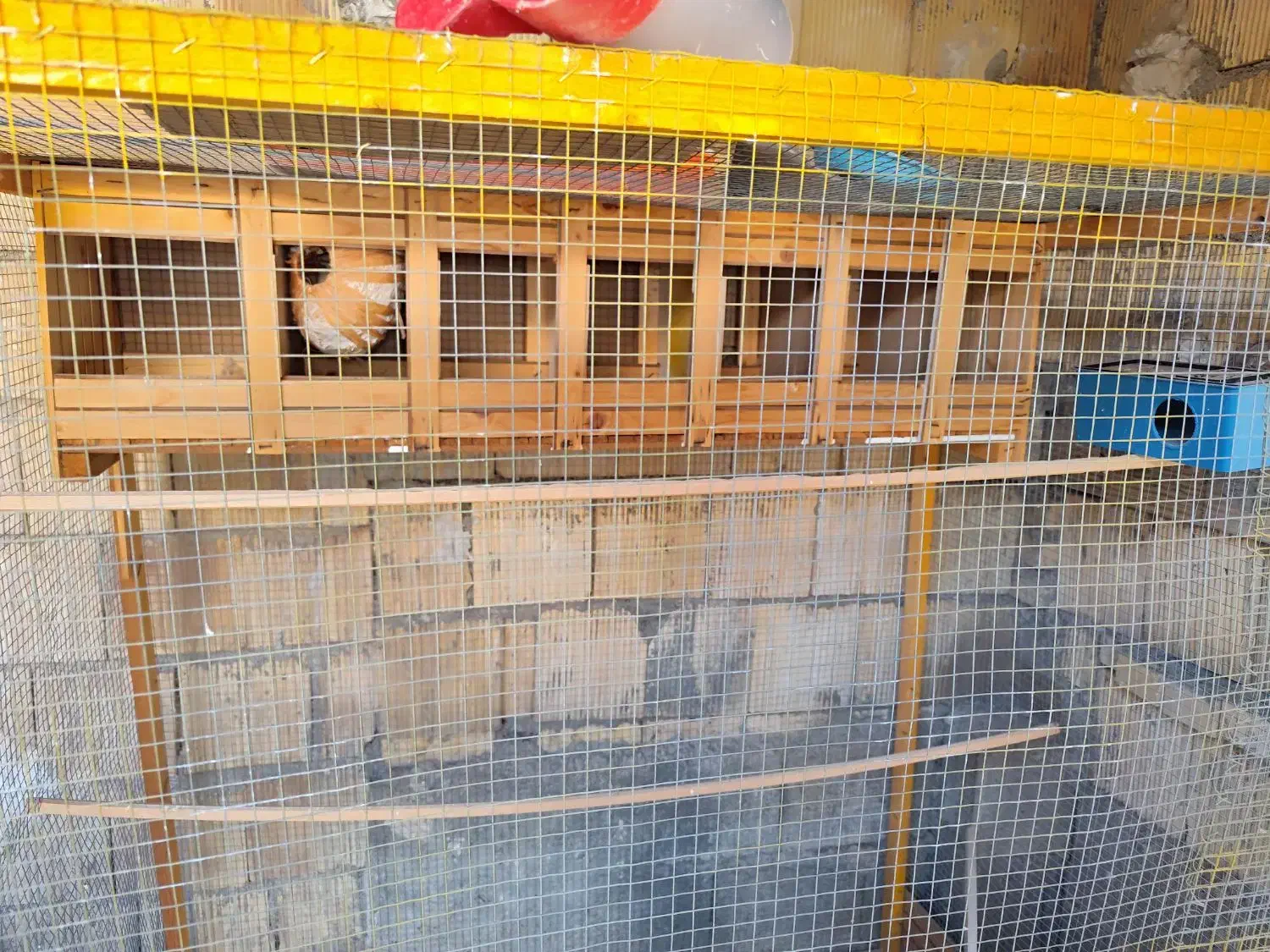 قفس پرنده|لوازم جانبی حیوانات|برازجان, |دیوار