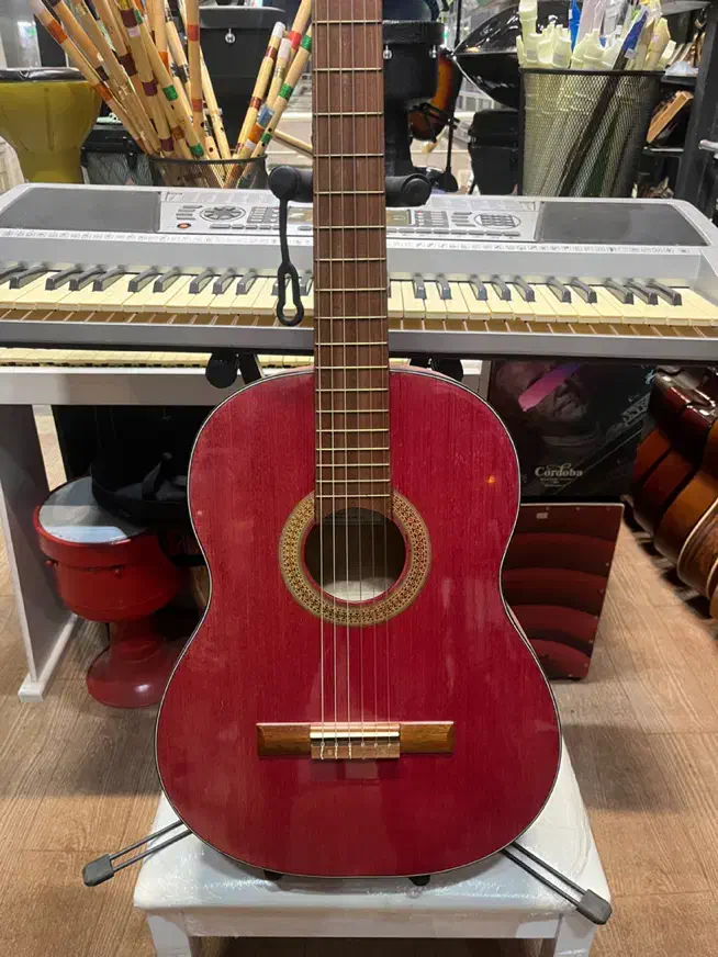 گیتار کلاسیک آلمانی گالری موسیقی آرتیاپاساژ شهرسبز|گیتار، بیس، امپلیفایر|لاهیجان, انقلاب|دیوار