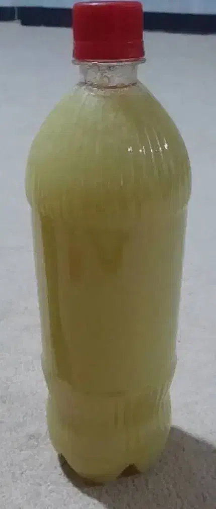 آبلیمو خونگی عمده|خوردنی و آشامیدنی|شیراز, سرو|دیوار