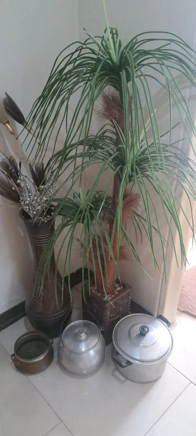 لوازم منزل|گل مصنوعی|کرج, ساماندهی|دیوار