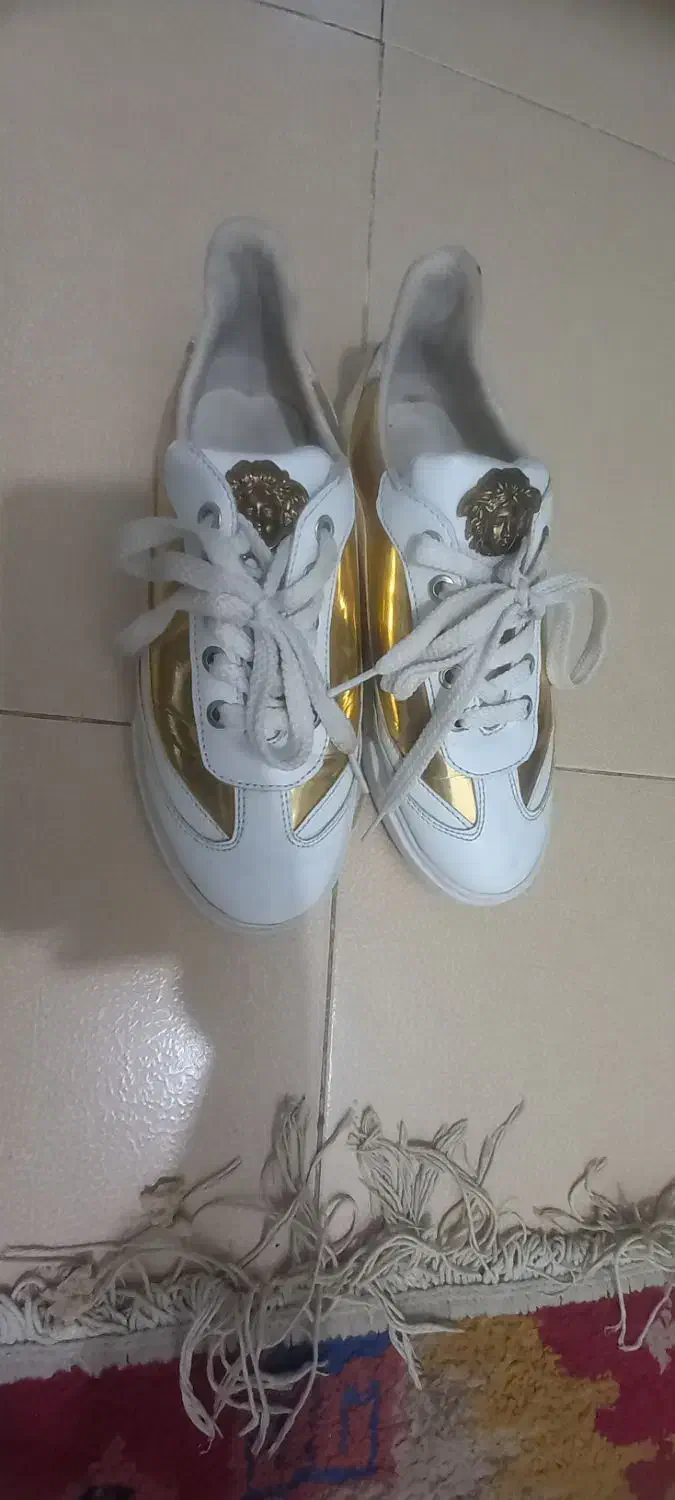 کفش نو|کیف، کفش، کمربند|گرگان, |دیوار