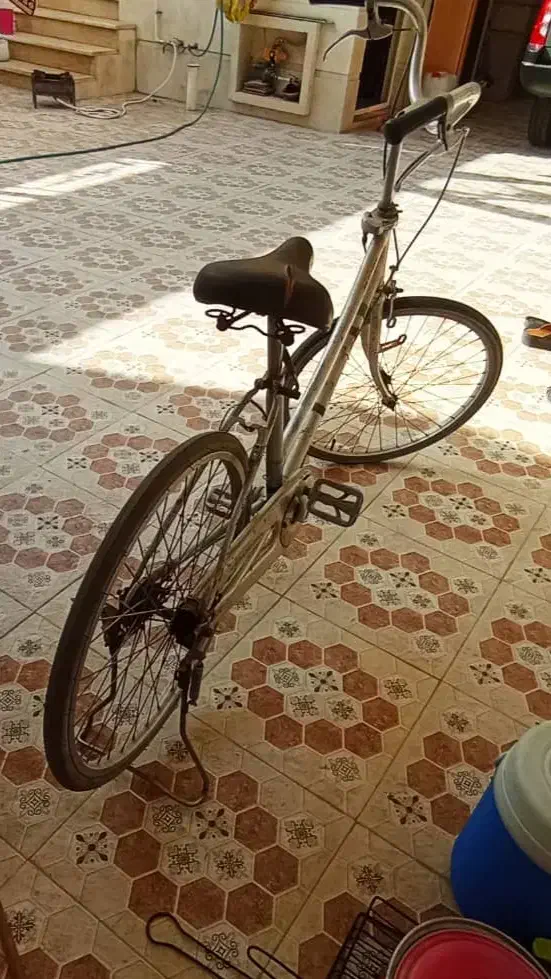 دوچرخه|دوچرخه، اسکیت، اسکوتر|بندر ماهشهر, |دیوار