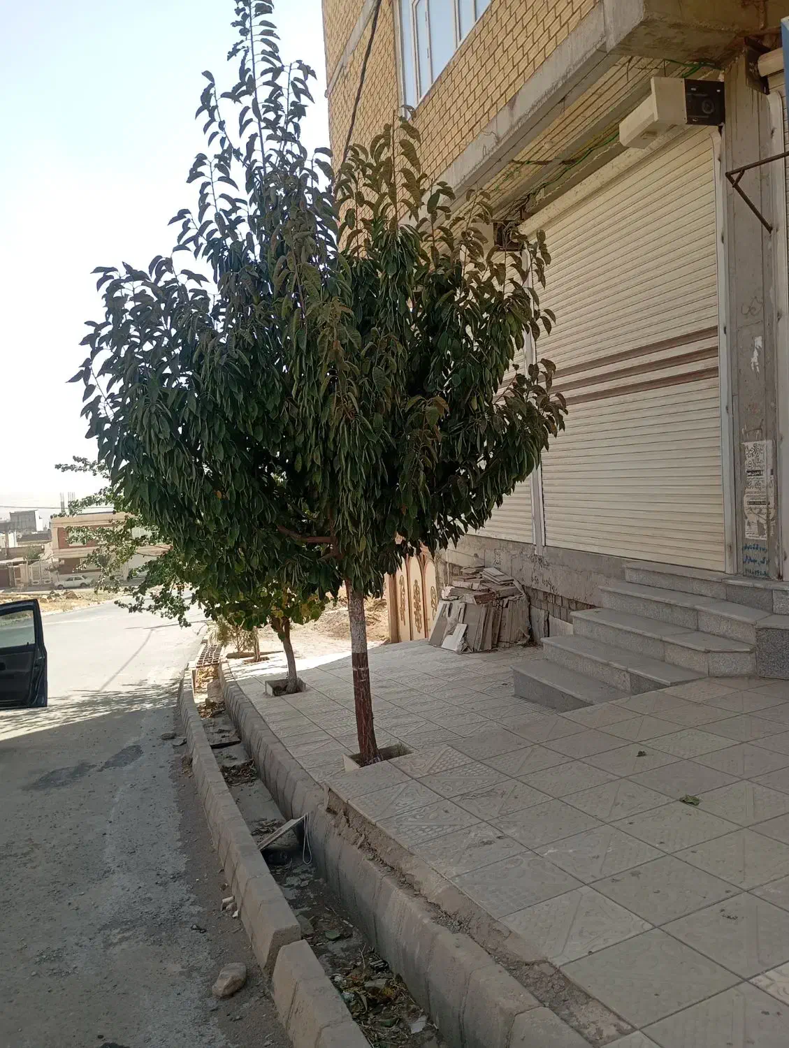 مغازه تجاری شهرک گلان|اجارهٔ مغازه و غرفه|سقز, |دیوار