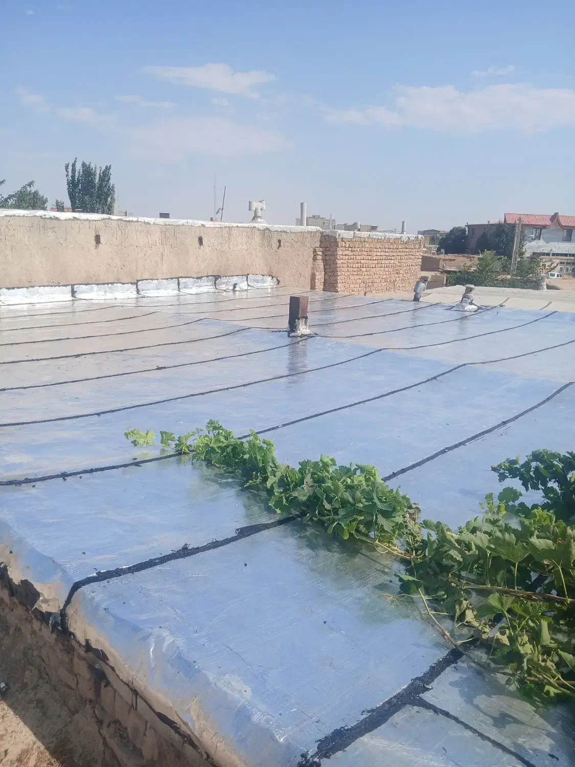 ایزوگام دلیجان|خدمات پیشه و مهارت|تاکستان, |دیوار