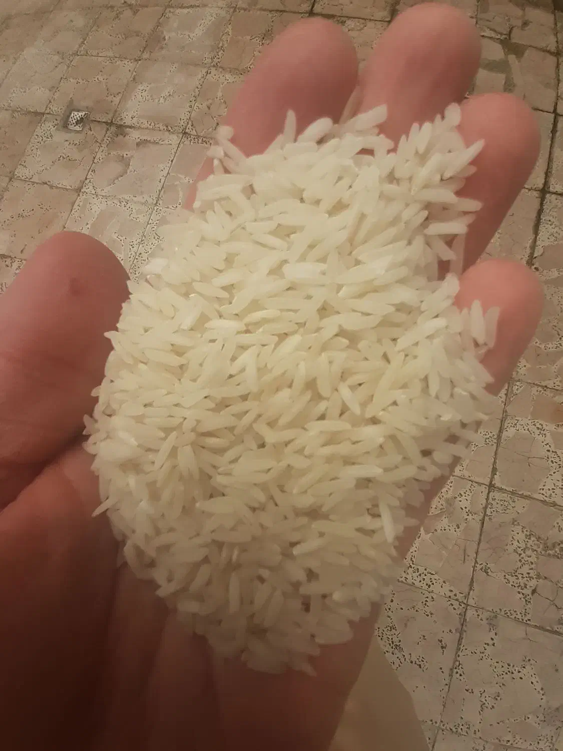 برنج پرمحصول پخت در حد هاشمی|خوردنی و آشامیدنی|رشت, توشیبا|دیوار