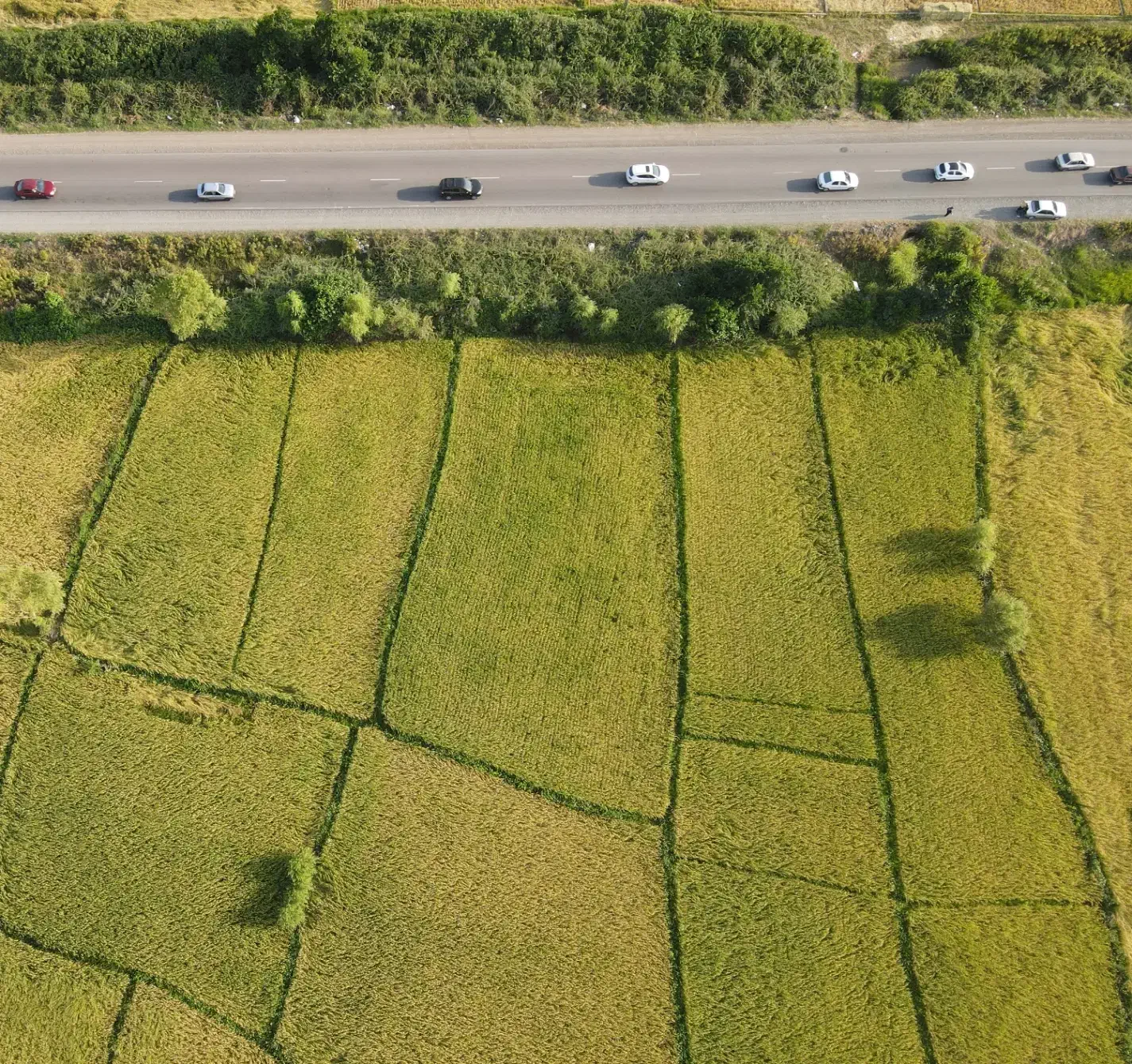 فروش زمین مناسب برای سوله|فروش دفتر صنعتی، کشاورزی، تجاری|آستارا, |دیوار