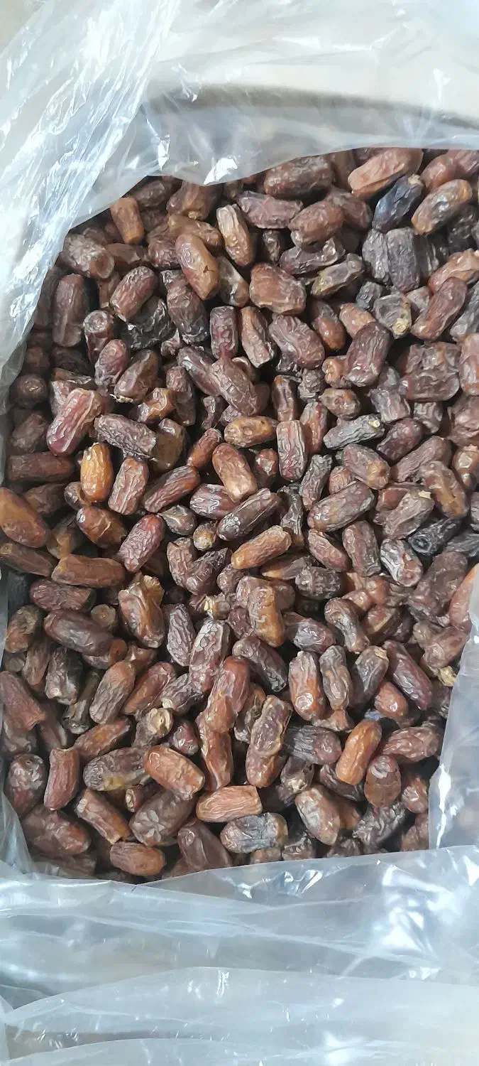 خرما پیارم درجه یک کیلویی ۴۵۰ درجه دو کیلویی ۱۵۰|عمده‌فروشی|سیرجان, |دیوار