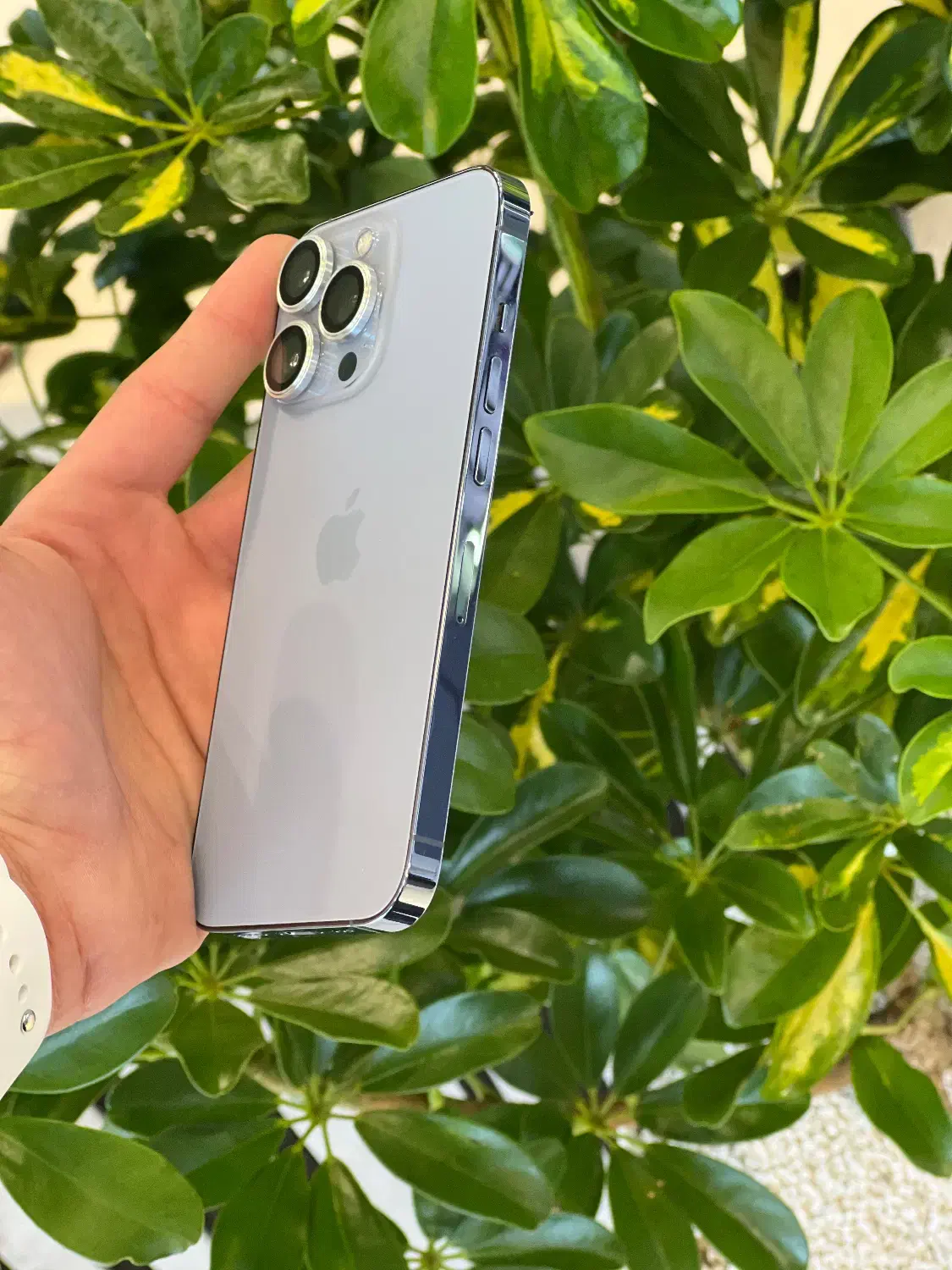 ۱3pro|موبایل|نیشابور, فردوس شمالی|دیوار