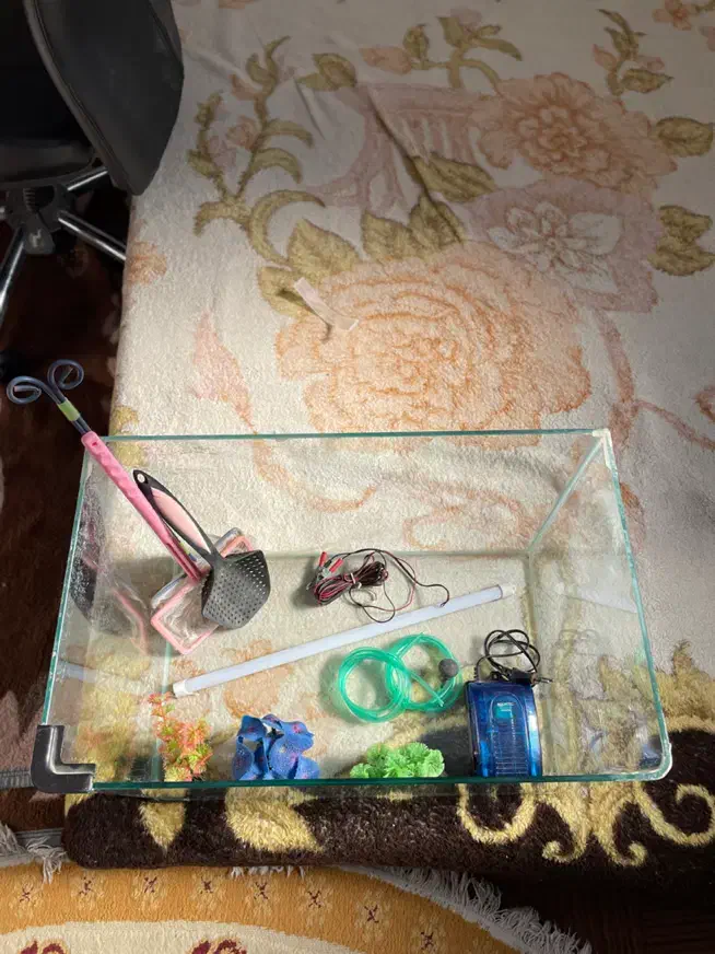 آکواریوم شیشه منحنی|ماهی|قم, پردیسان|دیوار