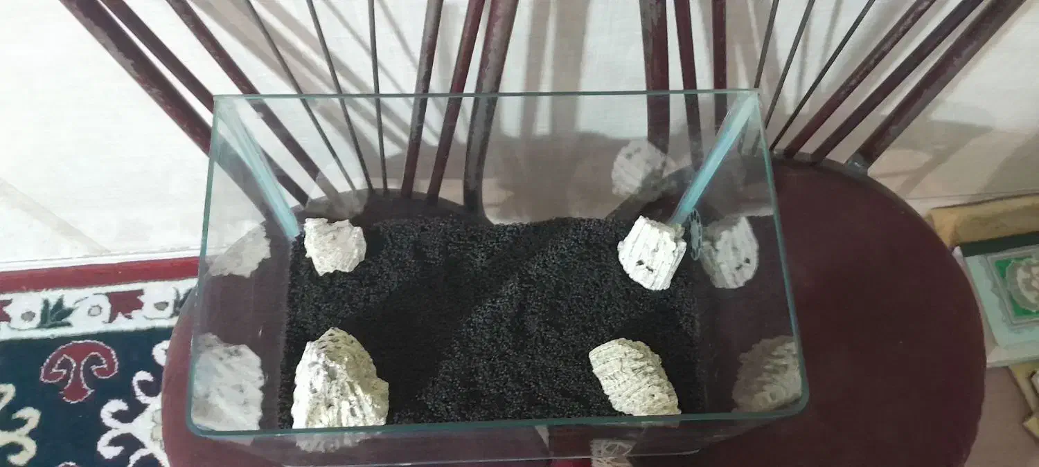 آکواریوم با تمام وسایل|ماهی|اردبیل, |دیوار