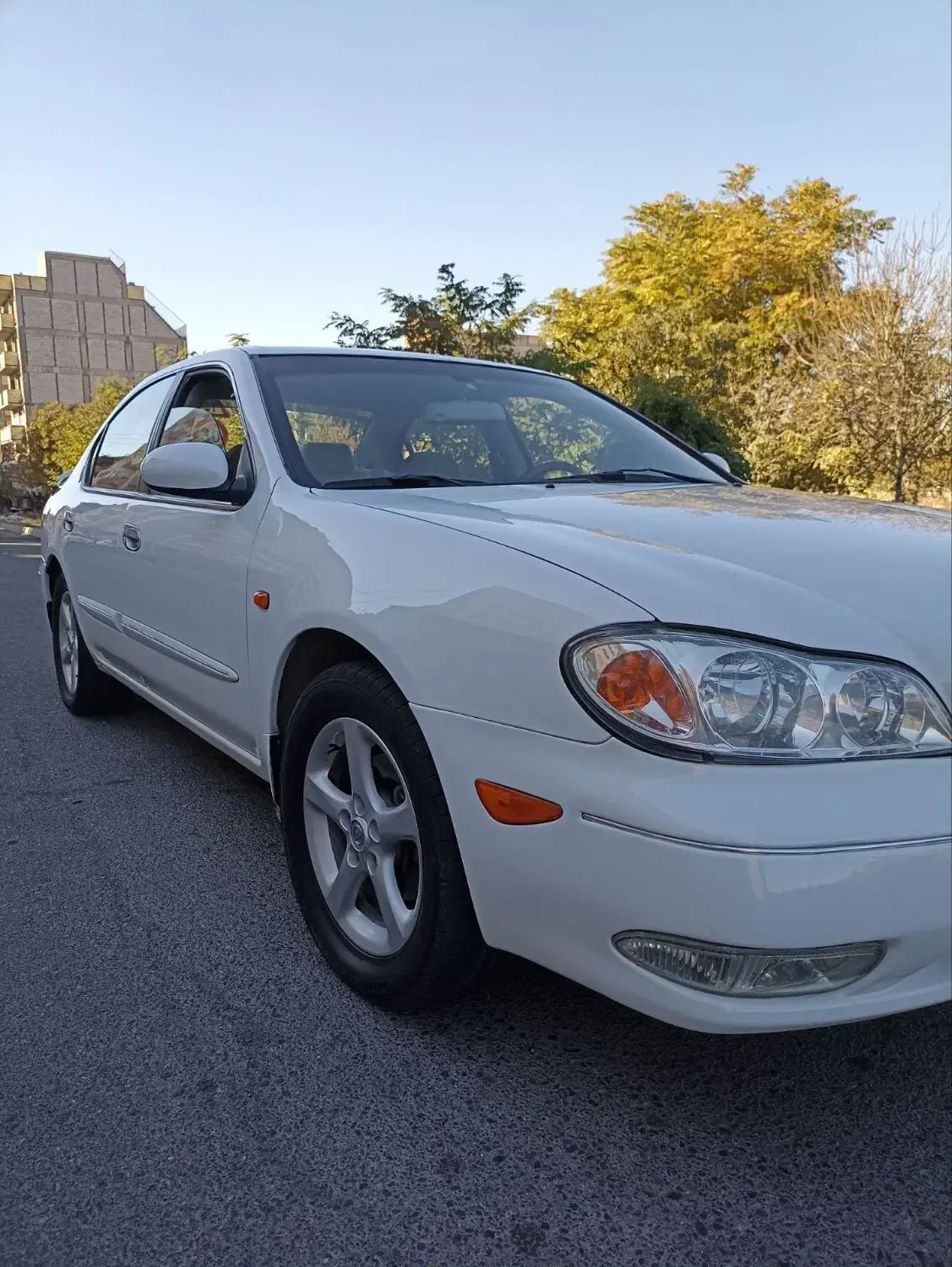 ماکسیما|خودرو سواری و وانت|تهران, منیریه|دیوار