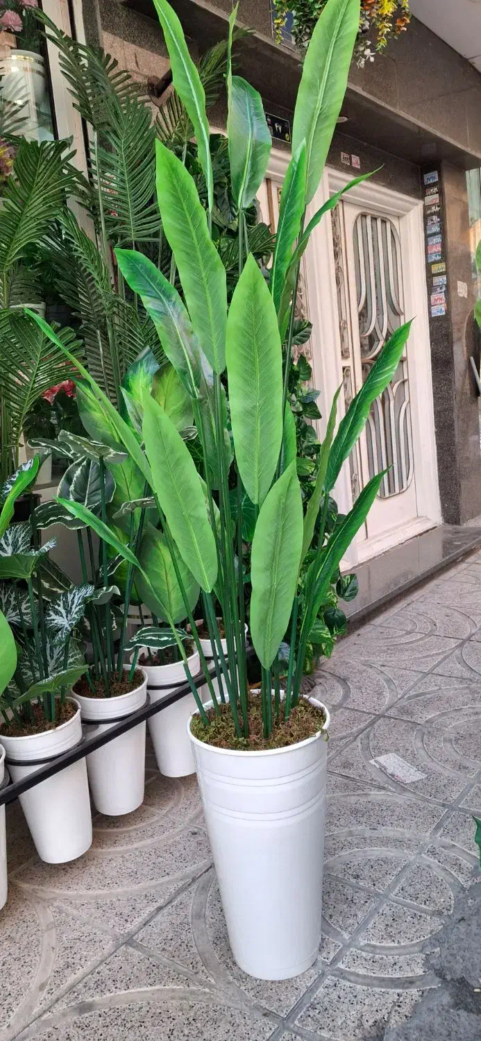 درختچه های مصنوعی|گل مصنوعی|شهریار, شهرک بهاران (ویره)|دیوار