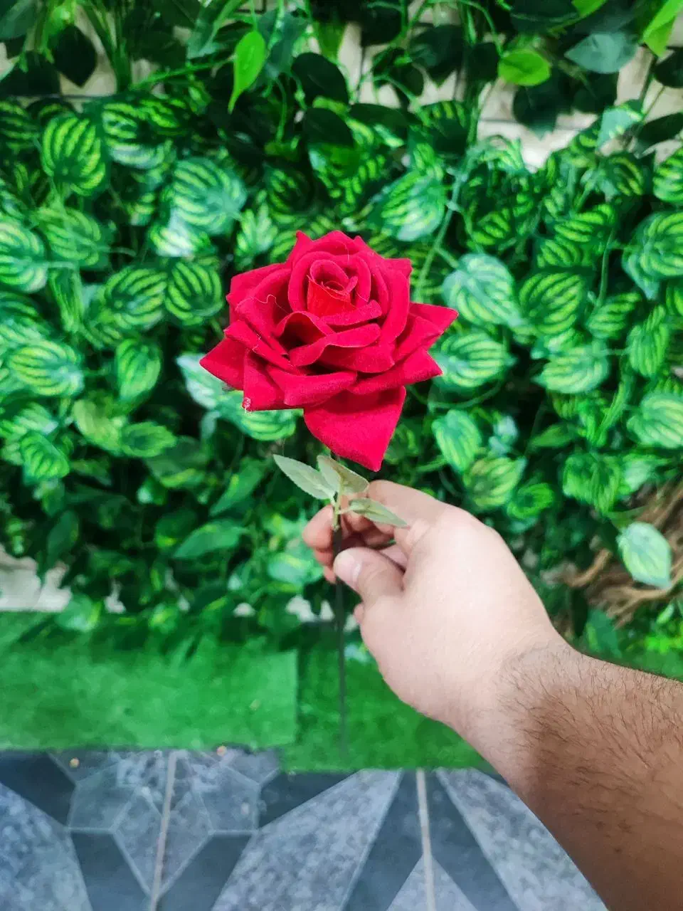 رز تک شاخه روز مادر|گل مصنوعی|قم, نیروگاه|دیوار