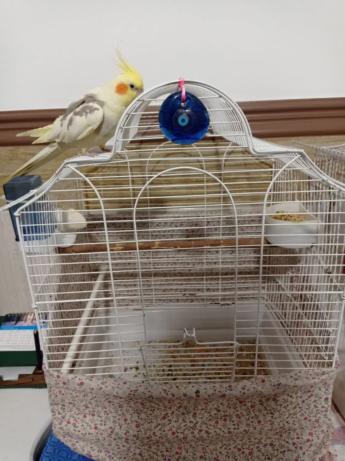 عروس هلندی دستی|پرنده|ماهدشت, |دیوار