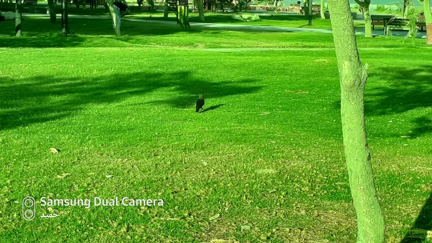 جابجایی مسافر ونامه وجعبه کوچک|خدمات حمل و نقل|بندر کنگان, |دیوار