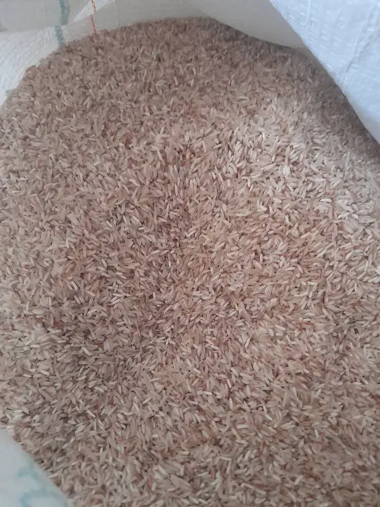 برنج فجر|خوردنی و آشامیدنی|گنبد کاووس, |دیوار