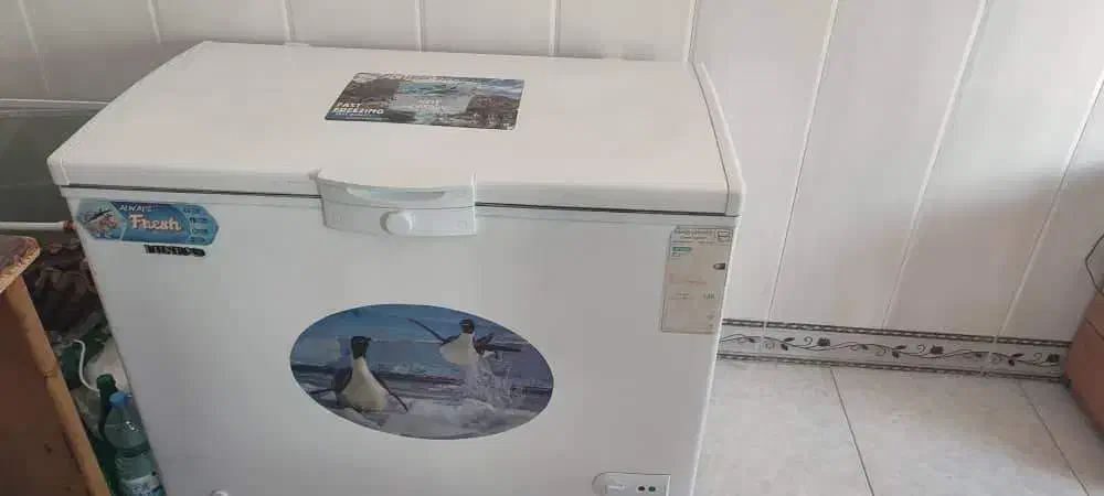 فریزر|یخچال و فریزر|بندر ترکمن, |دیوار