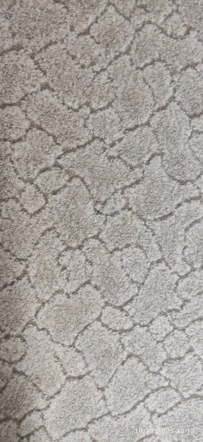 موکت ظریف و پالاز|موکت|بندرعباس, |دیوار