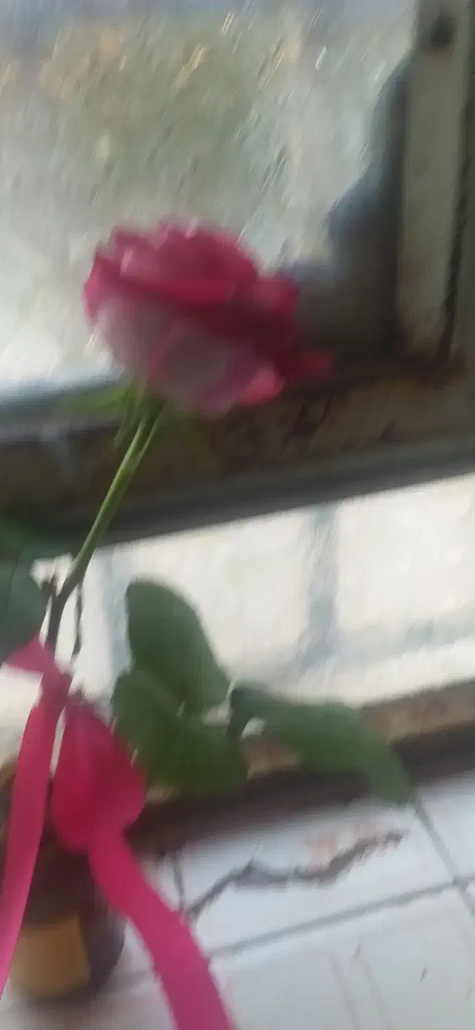 پرستار خانم|استخدام سرایداری و نظافت|یاسوج, |دیوار