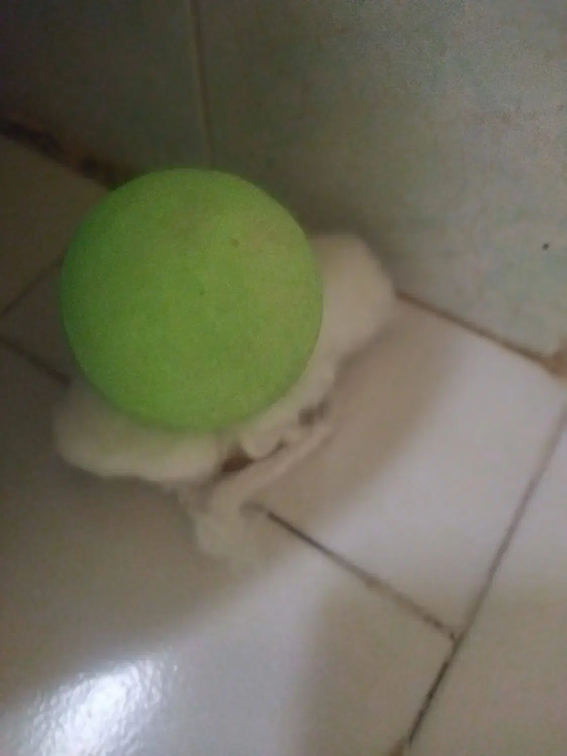 گوهر شب چراغ|کلکسیون و سرگرمی|قم, ارم|دیوار