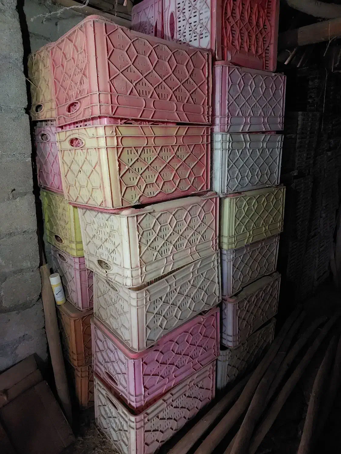 سبد مرغ|عمده‌فروشی|بندر انزلی, چهارفریضه|دیوار