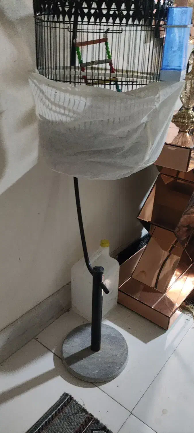 قفس قناری|لوازم جانبی حیوانات|تربتحیدریه, قائم|دیوار