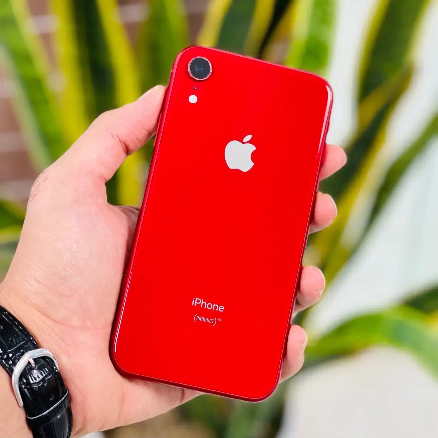 آیفون ایکس ار / Iphone xr|موبایل|بیرجند, |دیوار