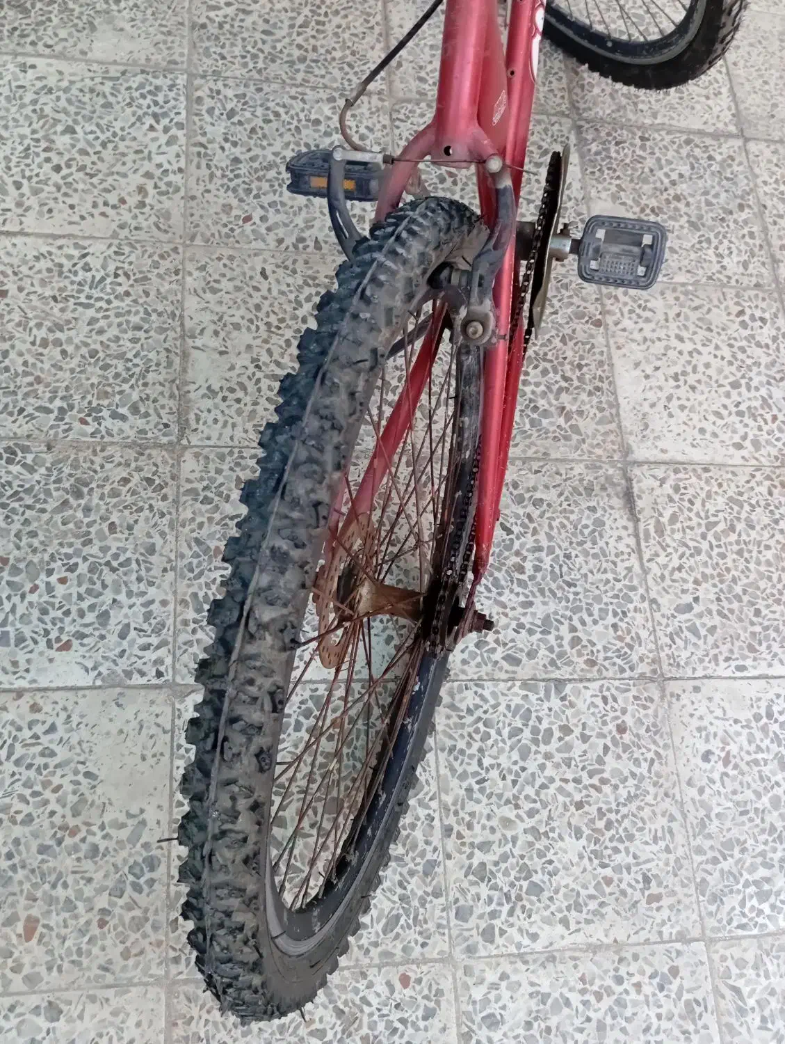 دوچرخه ۲۶ تمیز|دوچرخه، اسکیت، اسکوتر|اهواز, رسالت|دیوار