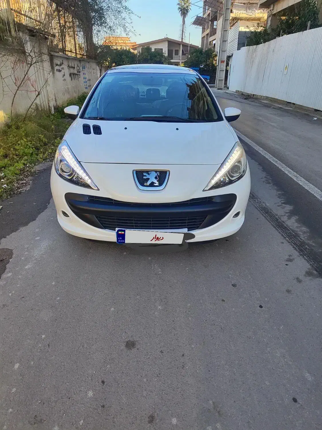 207مدل1401|خودرو سواری و وانت|سلمان‌شهر, |دیوار