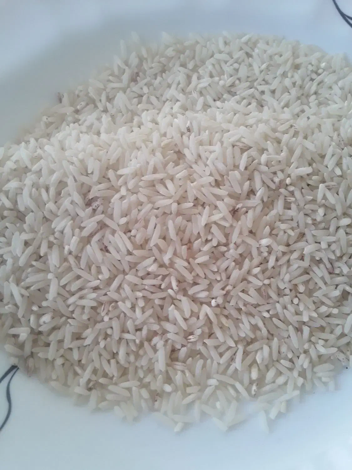 برنج طارم|خوردنی و آشامیدنی|ایلام, |دیوار