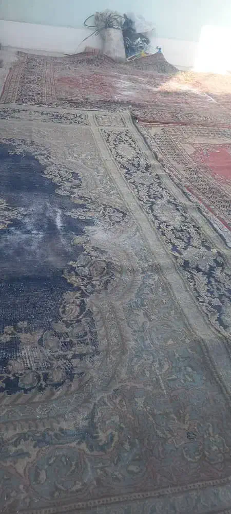 قالی دست باف|فرش|کرمان, |دیوار