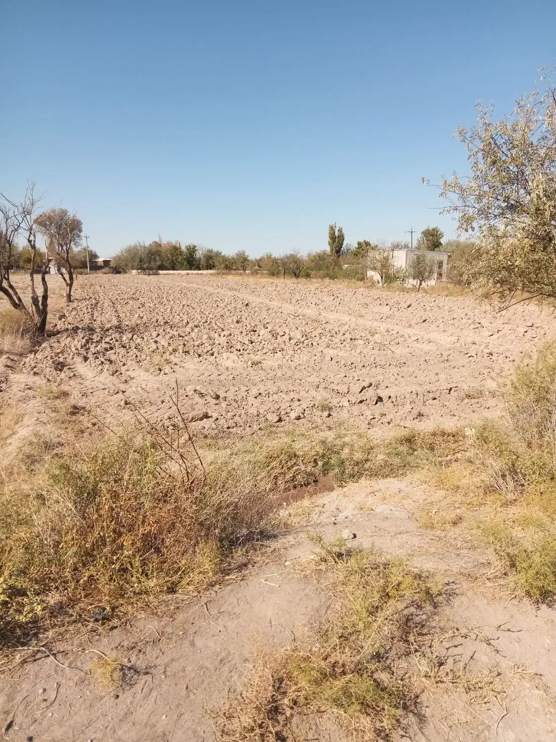 زمین|فروش زمین و ملک کلنگی|گوگان, |دیوار