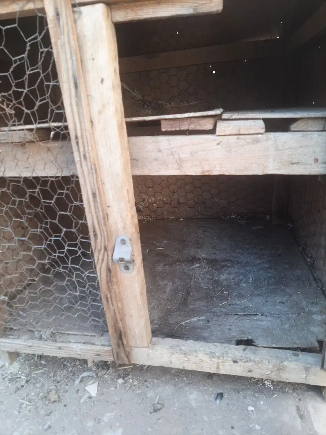 یک عددکلبه دو تبقه چوبی|لوازم جانبی حیوانات|رفسنجان, |دیوار