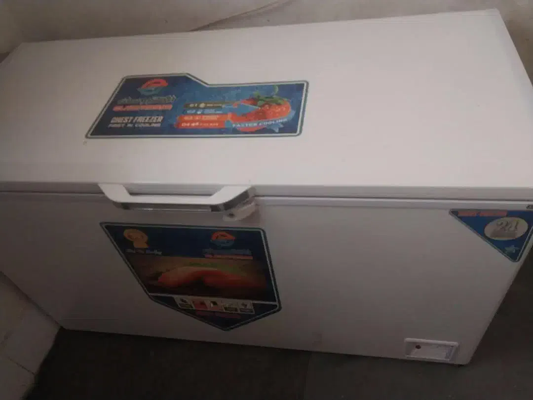 فروشی|یخچال و فریزر|یاسوج, |دیوار