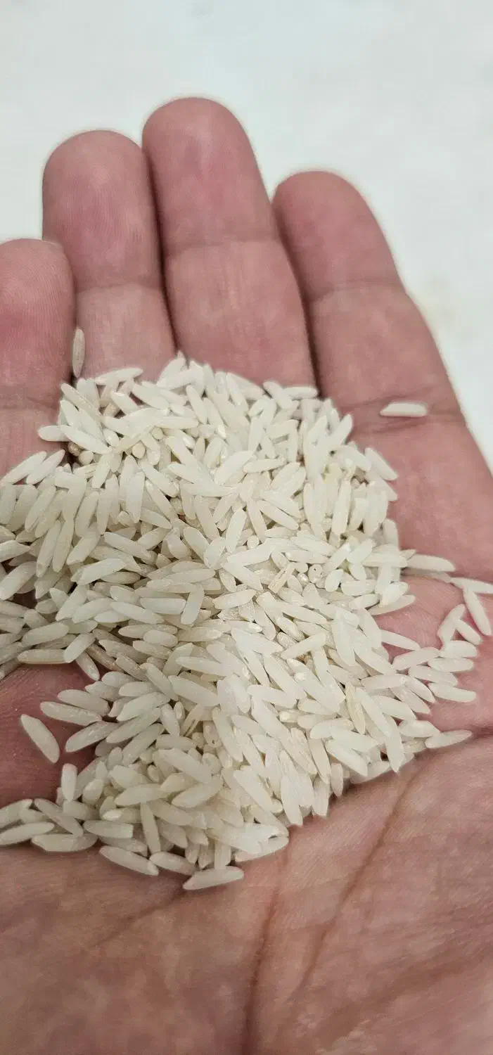 برنج هاشمی|خوردنی و آشامیدنی|رشت, نخودچر|دیوار