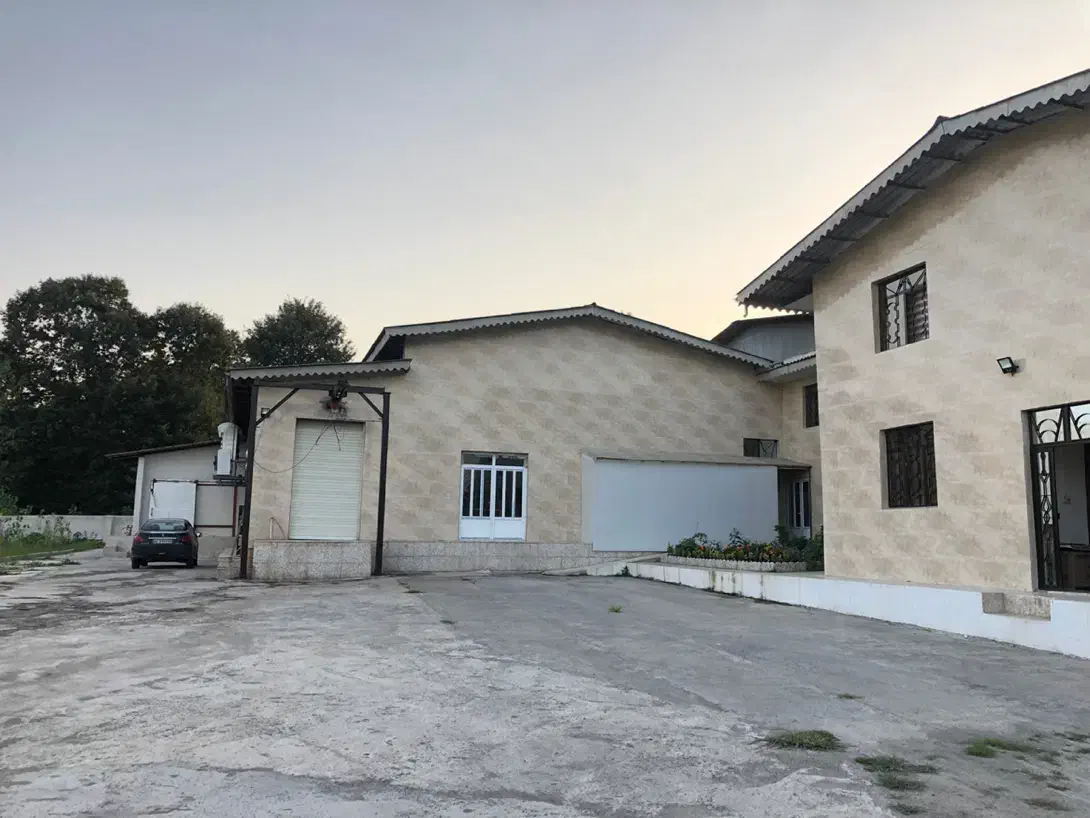 سرمایه گذار در زمینه تولید و پخش مواد پروتئینی|خدمات مالی، حسابداری، بیمه|رشت, کوی غلام نیا|دیوار