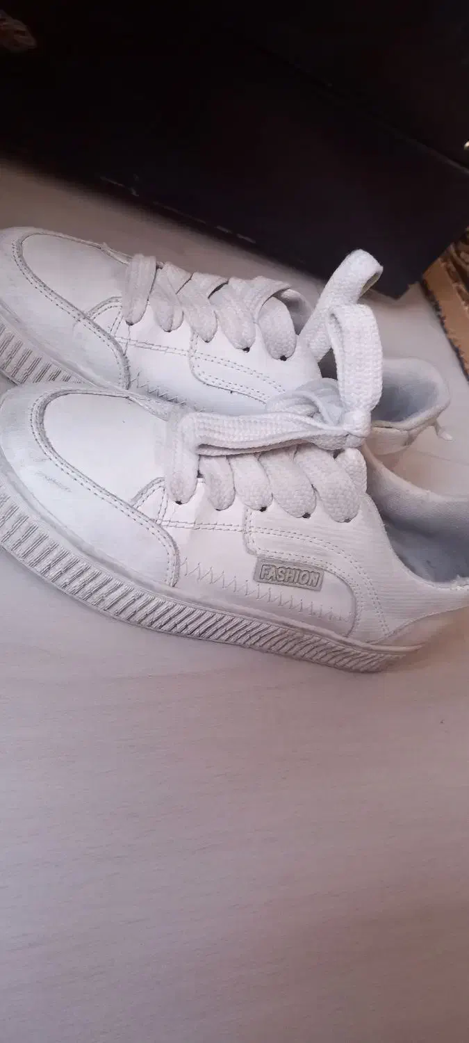 کفش سامبا نو|کیف، کفش، کمربند|تایباد, |دیوار