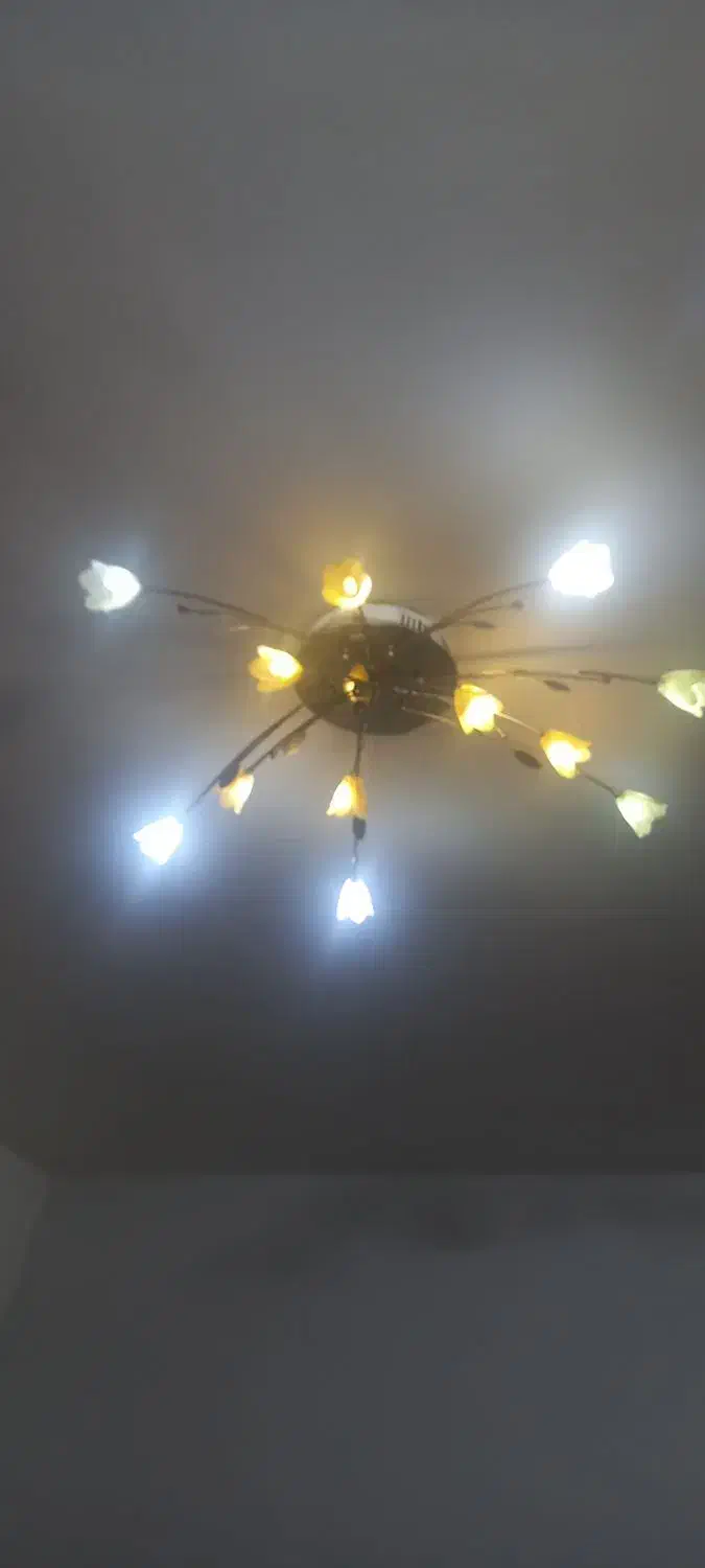 دو عدد لوستر اولی سقفی و دومی آویز|لوستر و چراغ آویز|مشهد, عسگریه|دیوار