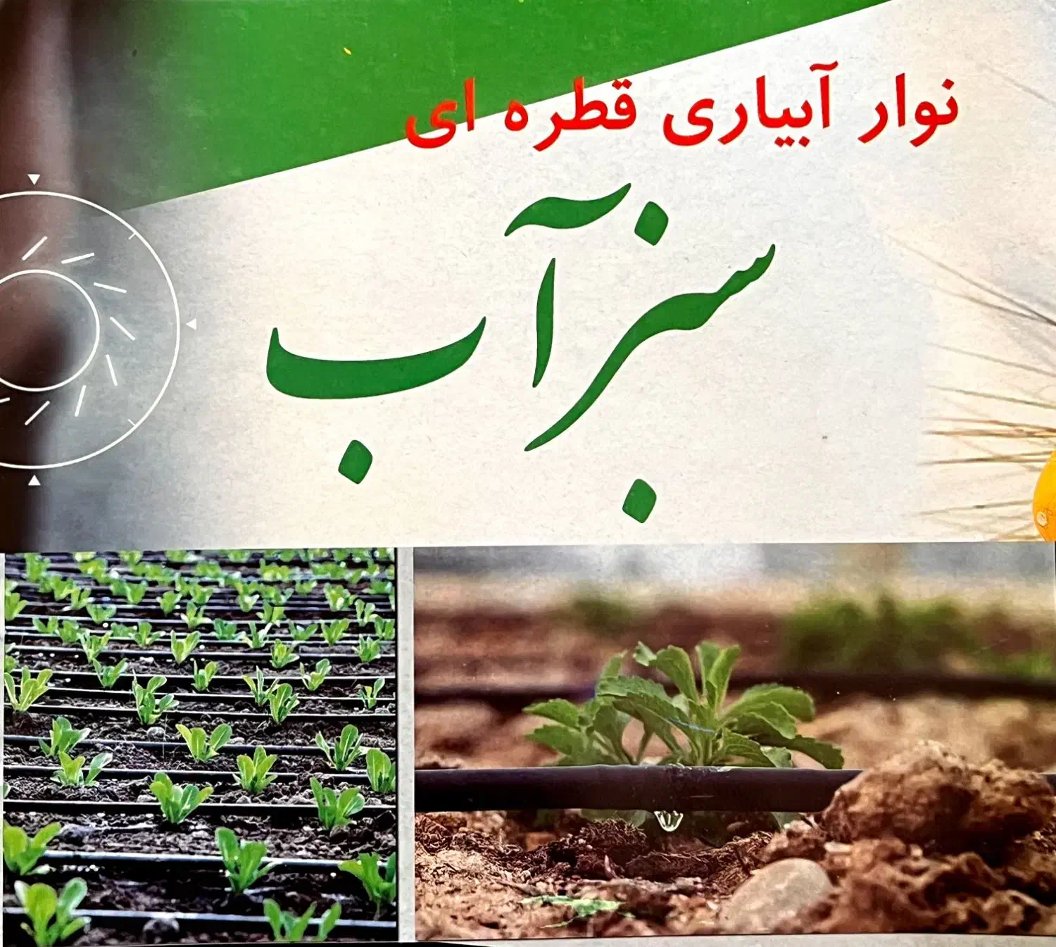 نوارتیپ سبزآب|خدمات باغبانی و درختکاری|اصفهان, بهارستان|دیوار