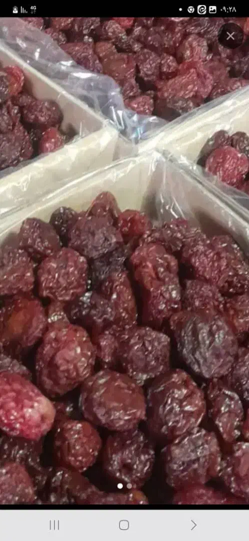 آلوخورشتی درجه یک آذربایجان|خوردنی و آشامیدنی|سرخه, |دیوار