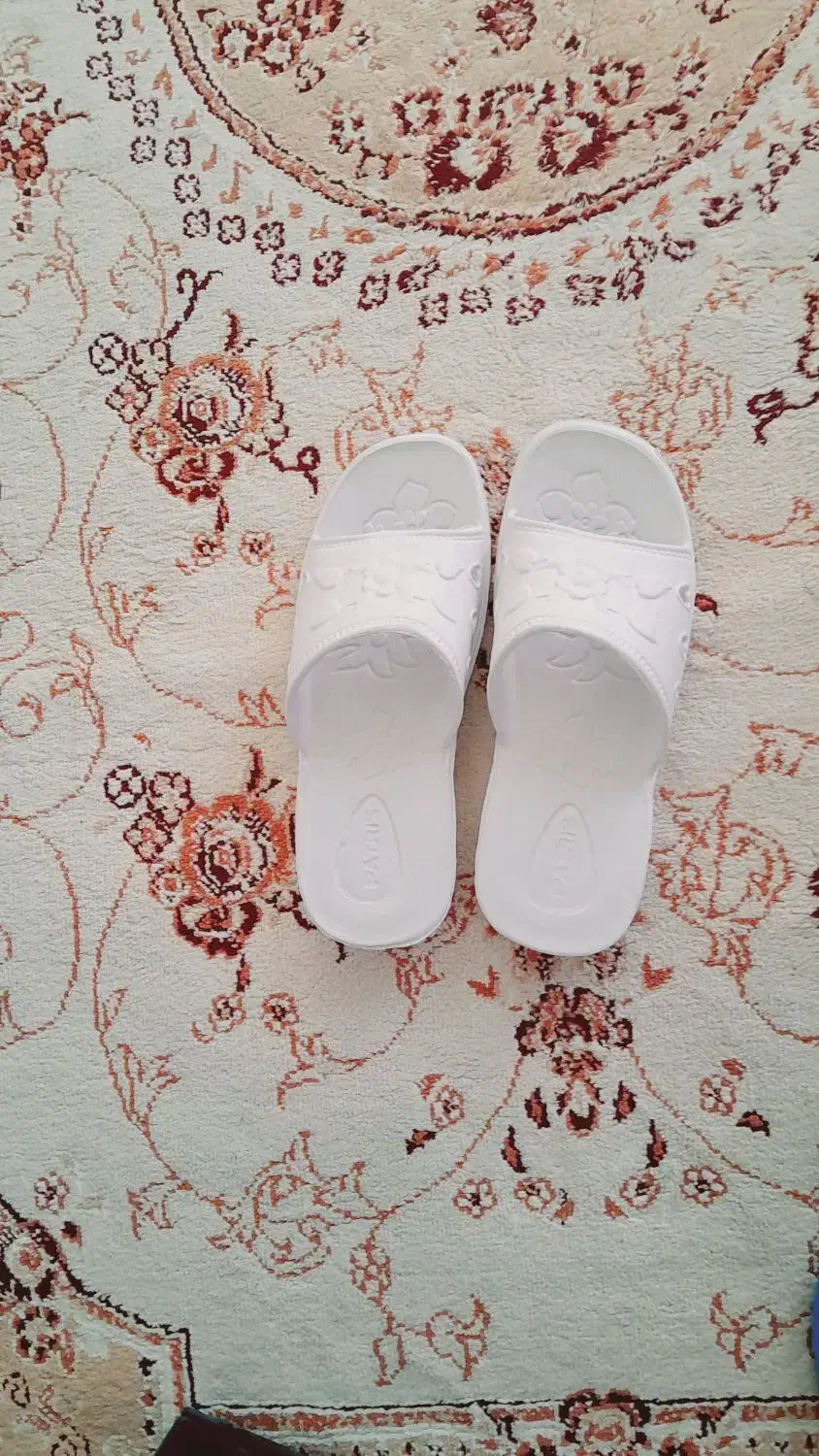 دمپایی نو|کیف، کفش، کمربند|لردگان, |دیوار