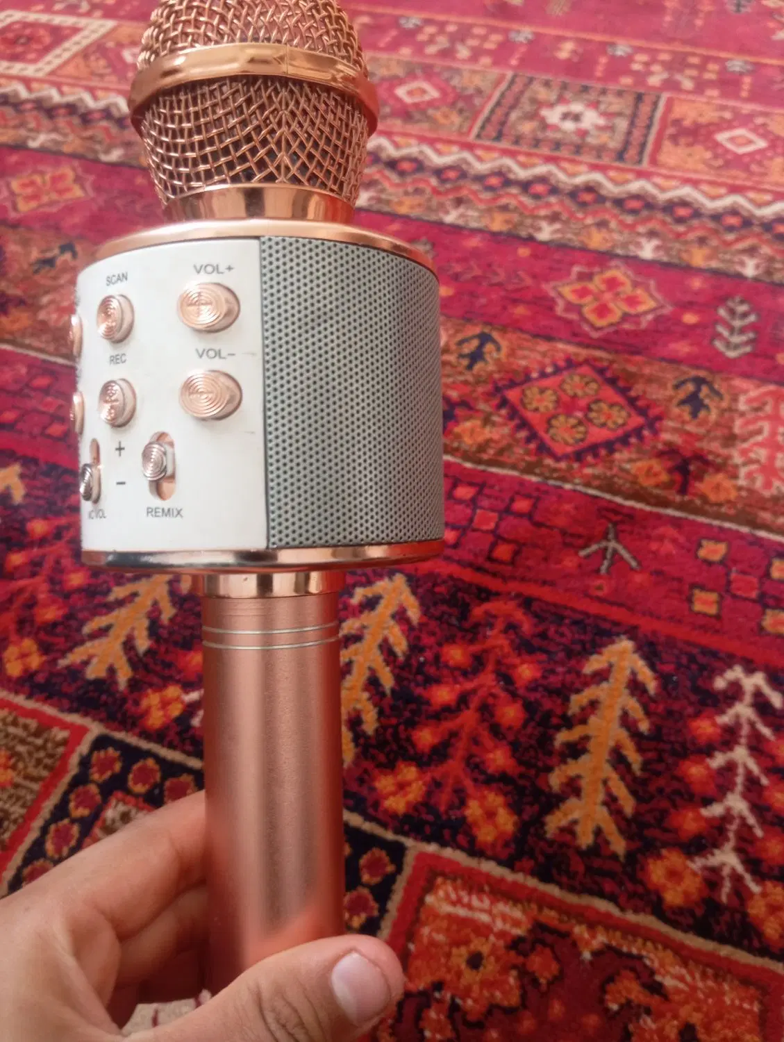 میکروفن|سیستم صوتی خانگی|نیشابور, سرآب کوشک|دیوار