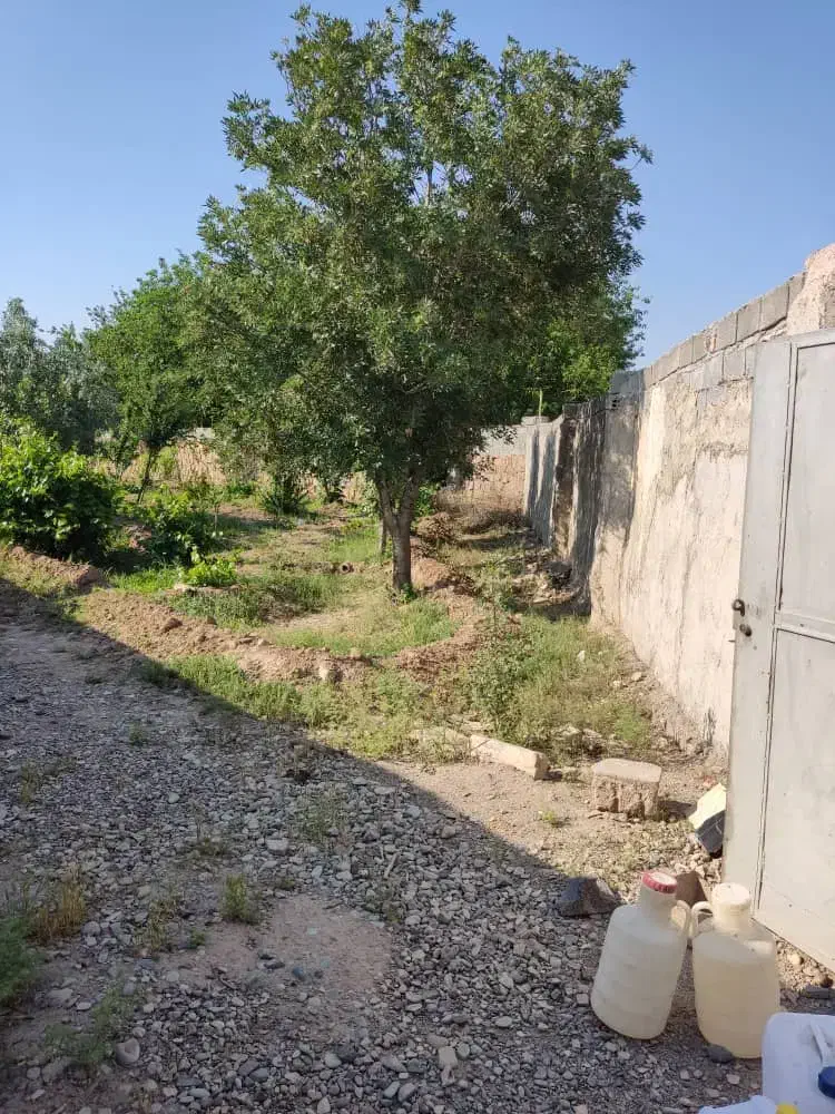 باغ|فروش خانه و ویلا|قرچک, صالح آباد|دیوار