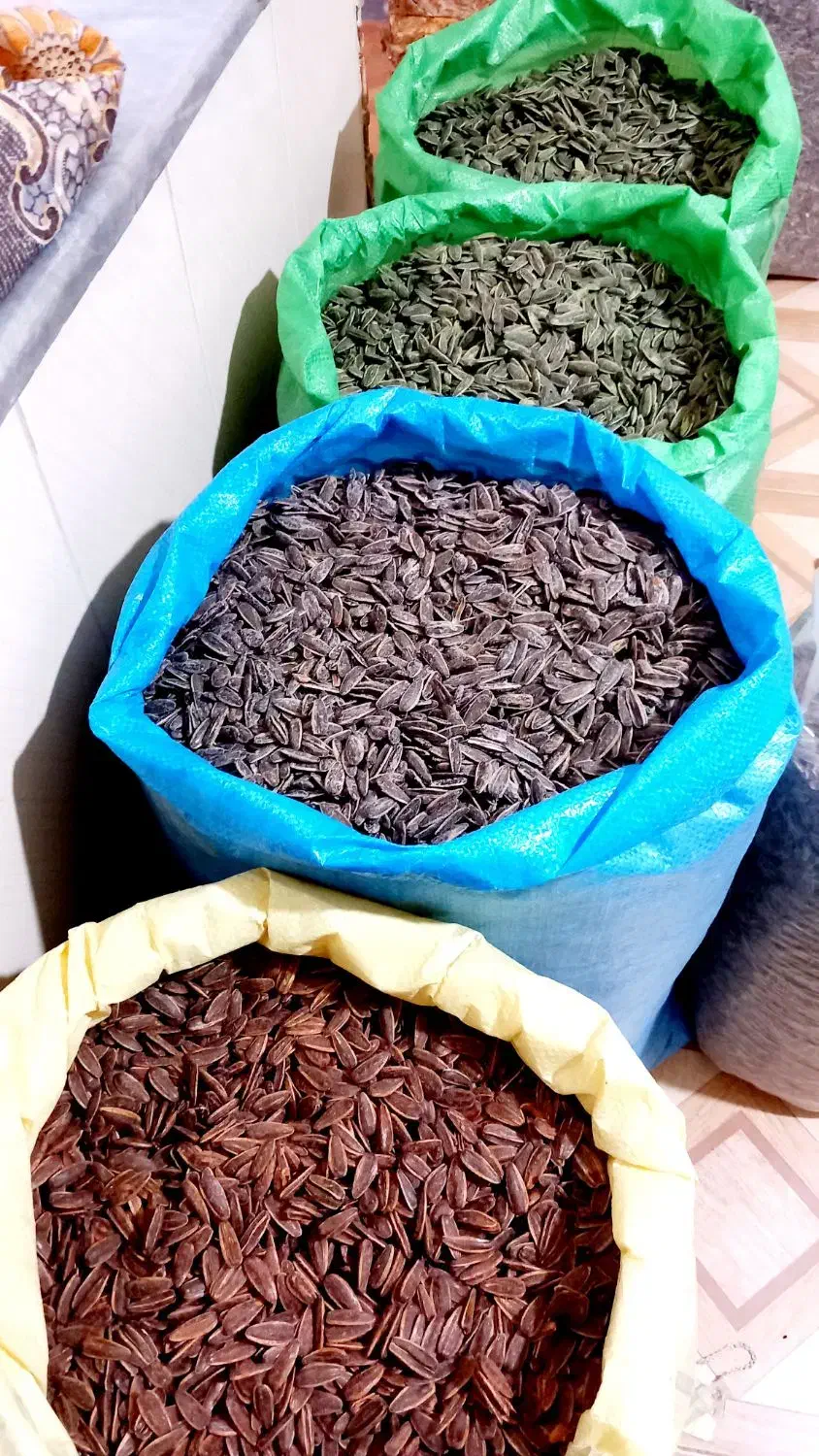 پخش تخمه آفتاب گردان|عمده‌فروشی|ساوه, |دیوار