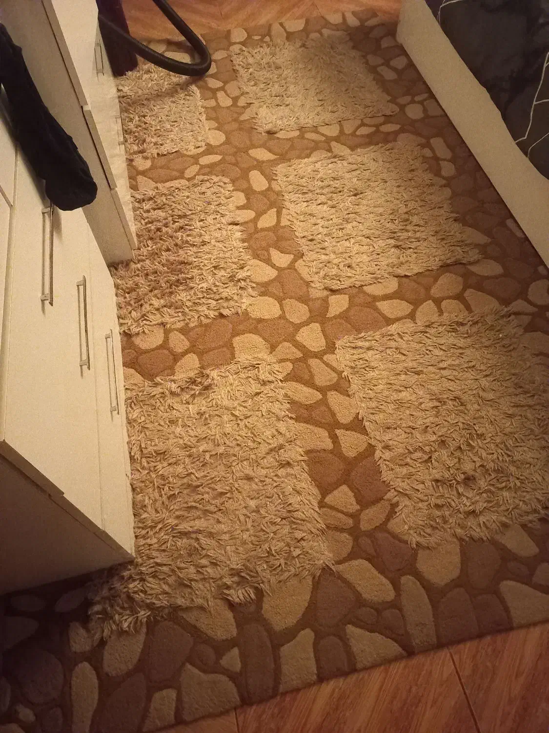 قالیچه اتاق|فرش|رشت, تازه آباد|دیوار